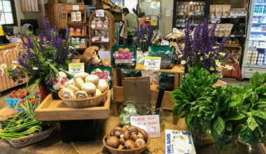 Weavers Way Co-op thrives as epicenter of West Mt. Airy