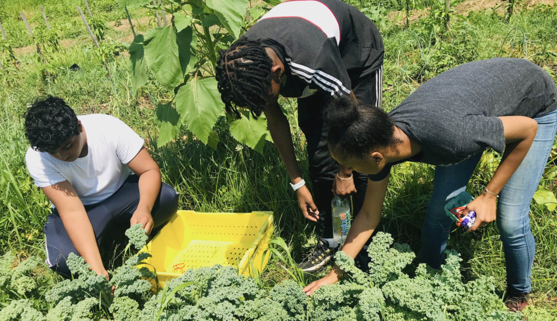 Sankofa farm connects African diaspora in Southwest Philly