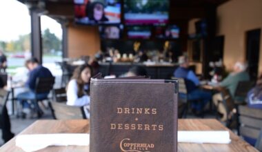 Copperhead Grille, Utopita co-owner dies