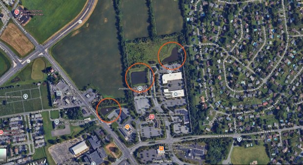 The circles on this image released by the Colonial Regional Police Department show the retention ponds at the end of High Point Boulevard in Hanover Township, Northampton County, where multiple dead geese were found. The birds were being tested for avian flu, authorities said.
