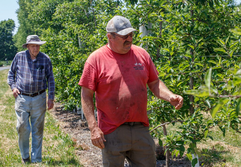 Lehigh Valley fruit farmers finding limited relief available for crop losses