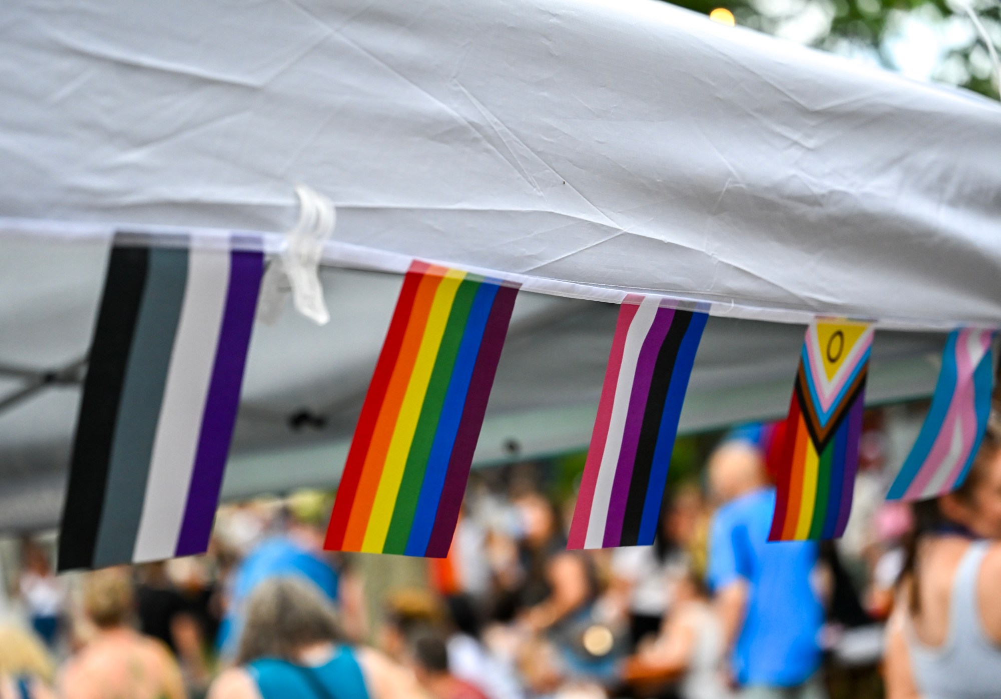 The Pride Party Palooza takes place on Sunday, June 14, 2026, at the Tavern at the Sun Inn in Bethlehem. (Avery Folmar/The Morning Call)