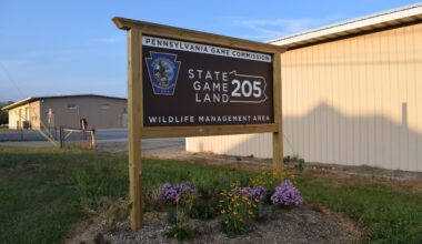 Accidental shooting at Game Lands in Lehigh County, DA says