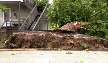 Pennsylvania storm knocks tree onto home, topples another on road