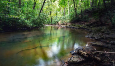 Pennsylvania weighs coal mine discharge permit that would send treated wastewater into trout stream