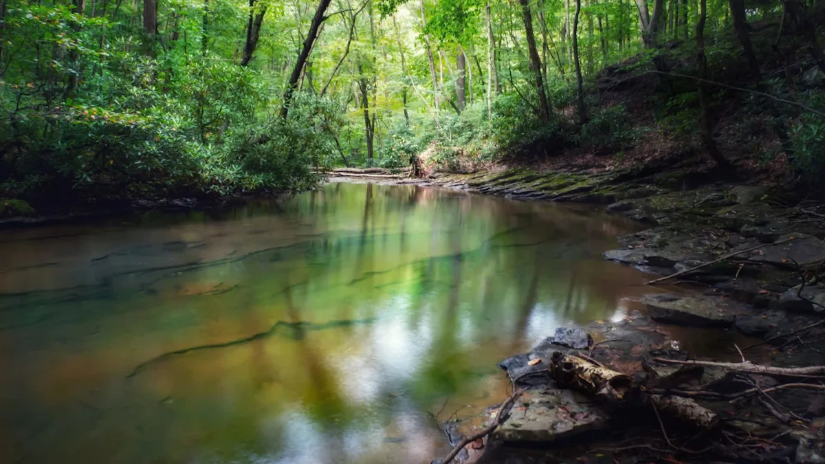 Pennsylvania weighs coal mine discharge permit that would send treated wastewater into trout stream