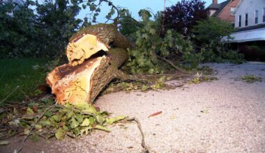 Scottdale Mayor Lindy House issues disaster declaration Sunday