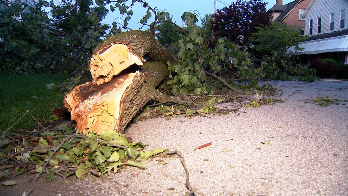 Scottdale Mayor Lindy House issues disaster declaration Sunday