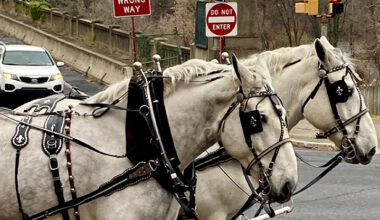 Oh, Little Town of Bethlehem, Pa.