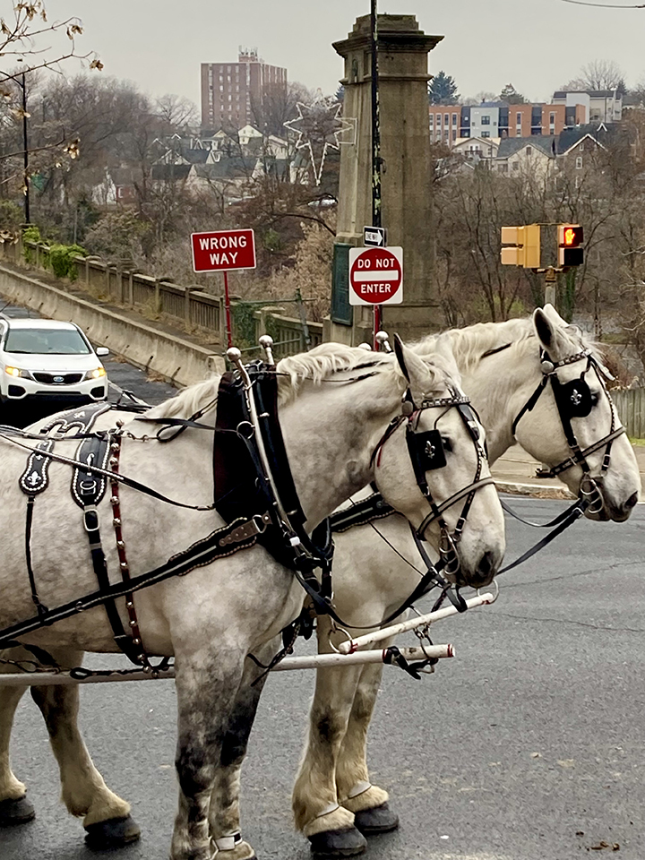 Oh, Little Town of Bethlehem, Pa.