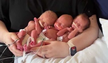Pennsylvania hospital sees four moms give birth to triplets