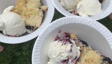 Blueberry Festival returns to Bethlehem with food, music and family fun