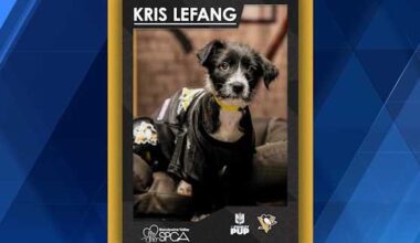 'Stanley Pup' Competition: Kris Lefang represents Pittsburgh Penguins