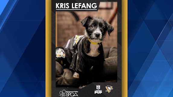 'Stanley Pup' Competition: Kris Lefang represents Pittsburgh Penguins