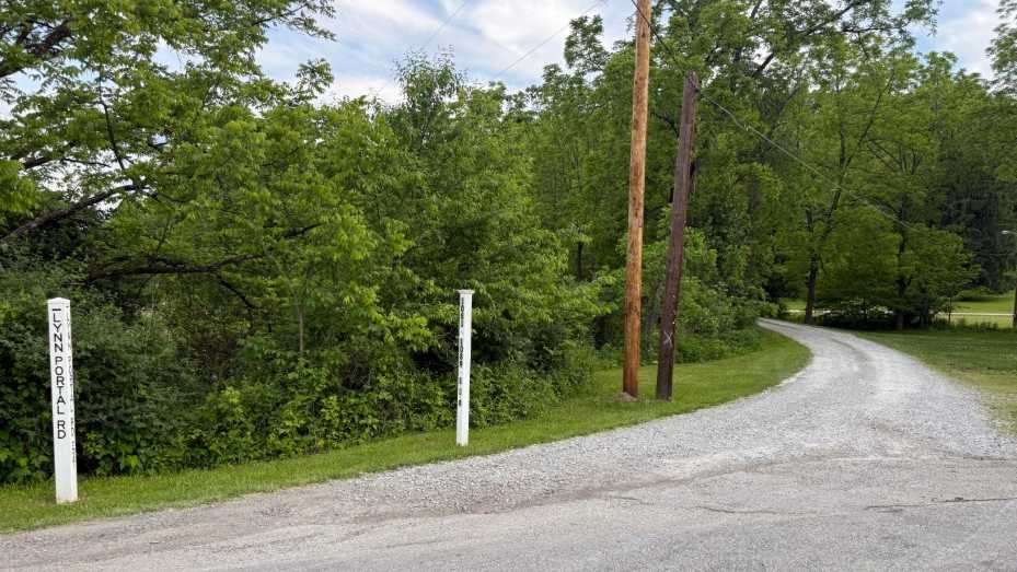 Contractor killed by fallen tree in Canton Township, Washington County