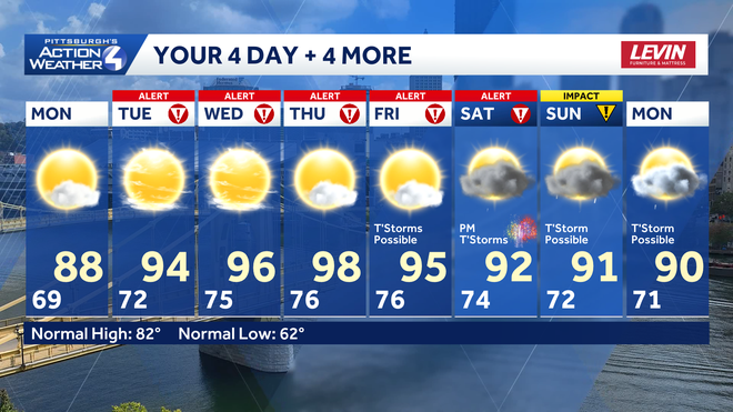 4+4 More Forecast 4+4 more forecast