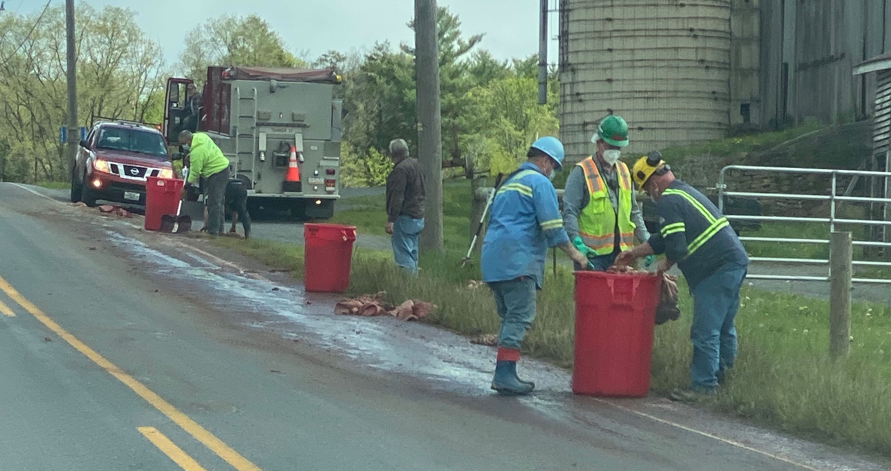 road crew workers clean up slaughterhouse byproducts from the side of the road