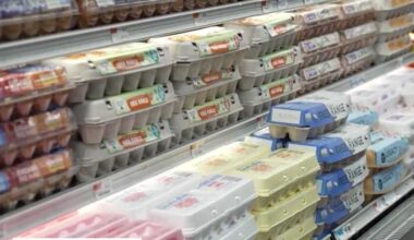 Egg producers to deliver millions of eggs to Pennsylvania food banks