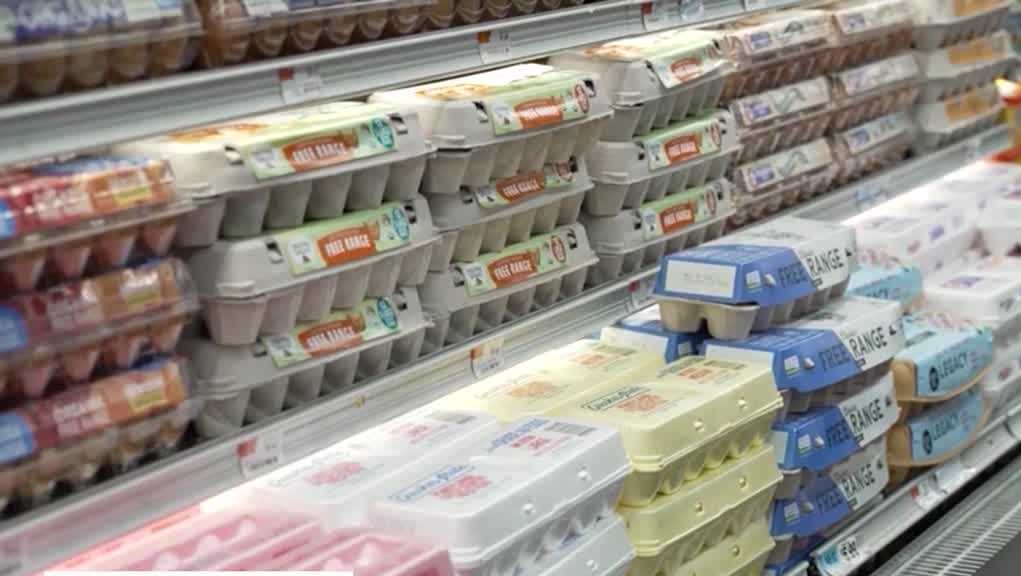 Egg producers to deliver millions of eggs to Pennsylvania food banks