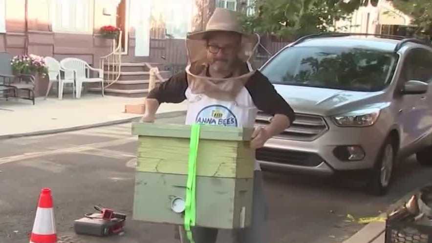 Philadelphia neighbors unite over bees living in a sewer