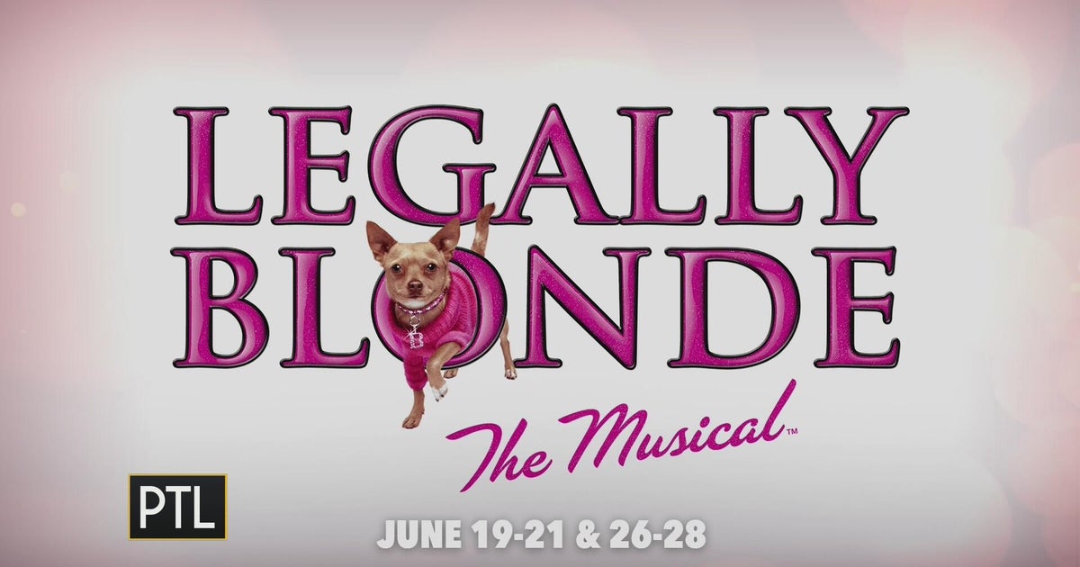 Legally Blonde: The Musical brings pink bubbly fun to the stage!