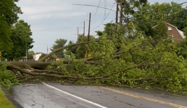 PHOTOS: Storm damage after severe thunderstorms hit the Susquehanna Valley
