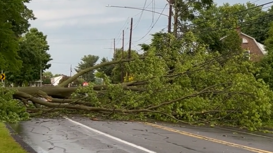 PHOTOS: Storm damage after severe thunderstorms hit the Susquehanna Valley