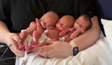 Pittsburgh's West Penn Hospital welcomes 4 sets of triplets