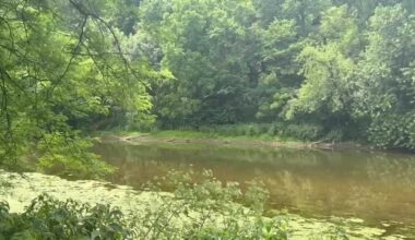 Conestoga River named Pennsylvania’s river of the year