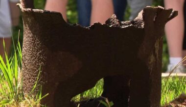 Pennsylvania plugs 400th abandoned gas well in Allegheny County