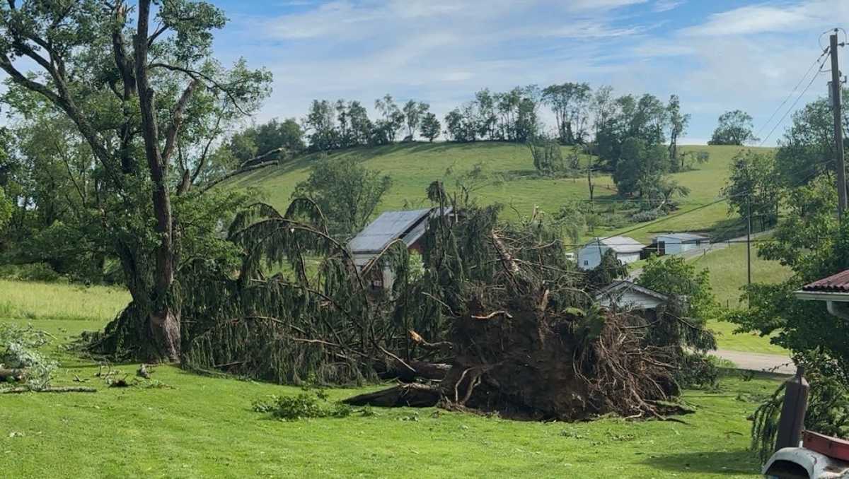 Photos, videos capture storm damage in Western Pa. Saturday