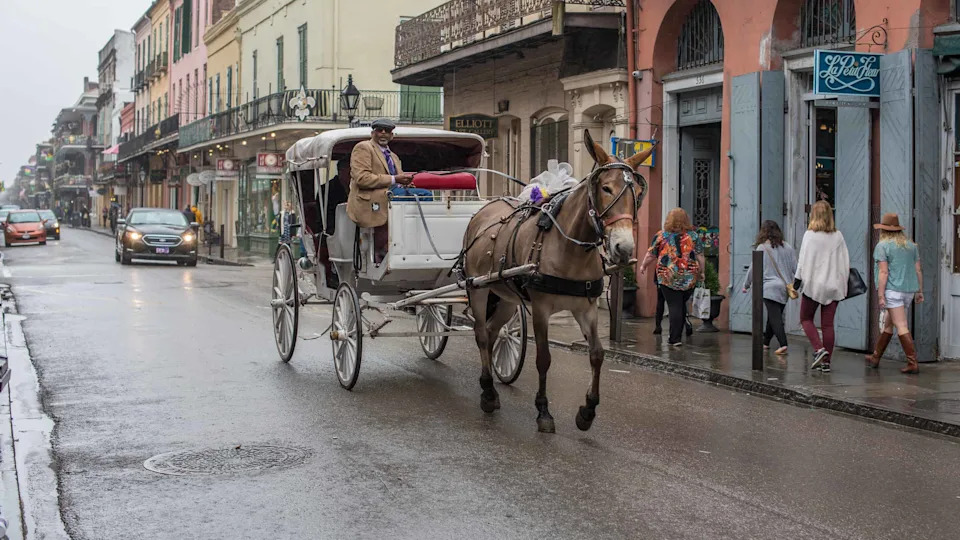 Rain falls as a horse drawn carriage rolls along Bourbon Street