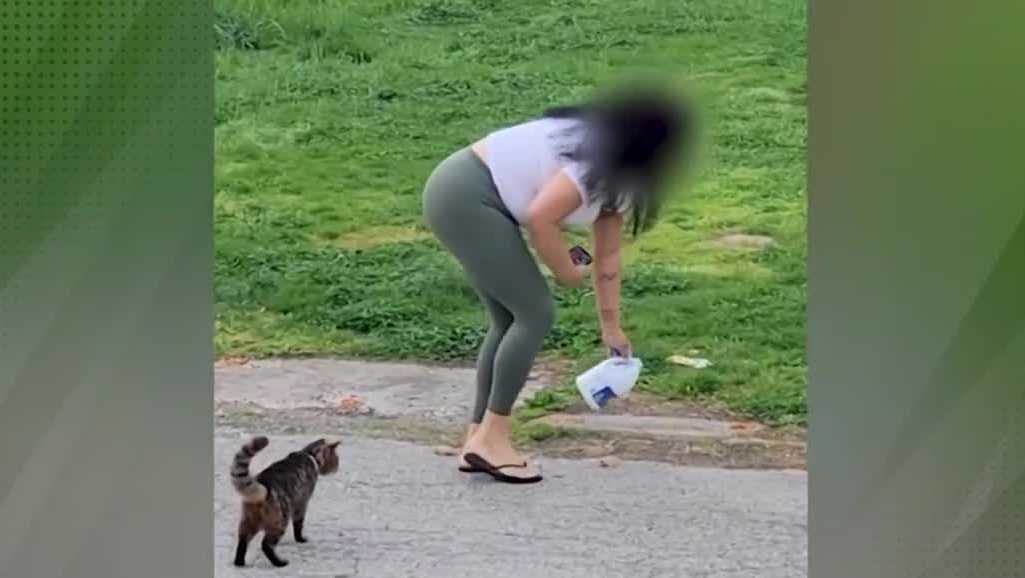 Pa. woman charged after allegedly pouring bleach in cat food