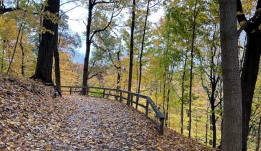 Frick Park Clayton Trail