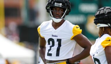 Former Steelers wide receiver signs with Broncos
