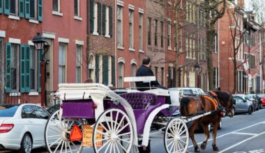 Philadelphia City Council bans carriage horse businesses
