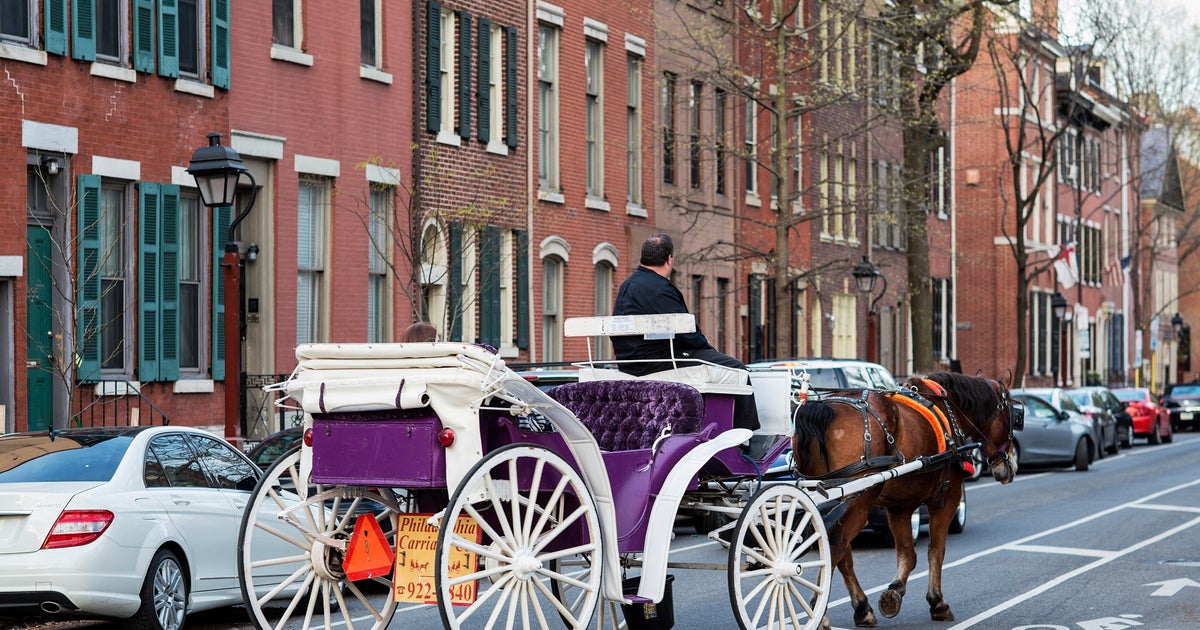 Philadelphia City Council bans carriage horse businesses