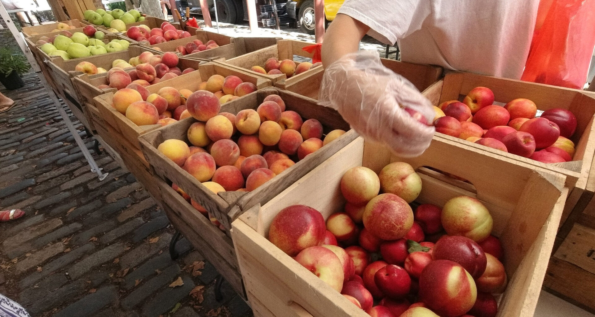 Your guide to Philly-based CSAs and farmshares