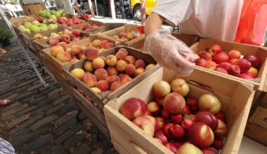 Your guide to Philly-based CSAs and farmshares
