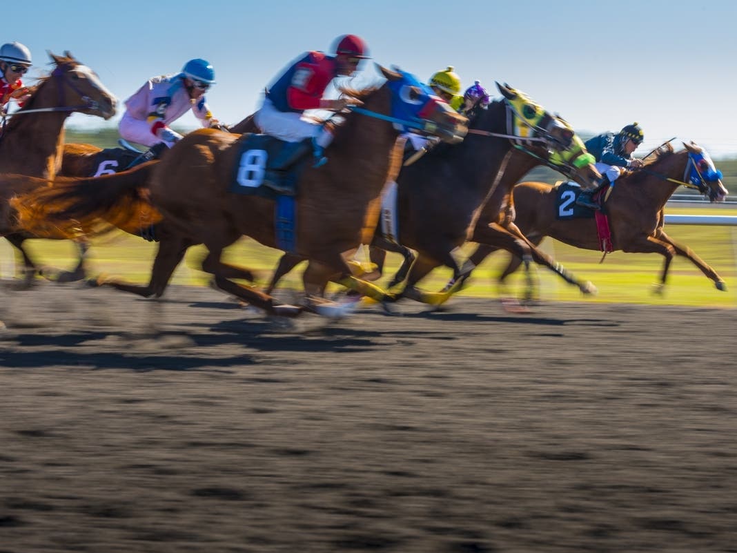 Parx Racing Rider Left With 'Catastrophic' Injuries