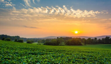 Pennsylvania invests in protecting Midstate farms