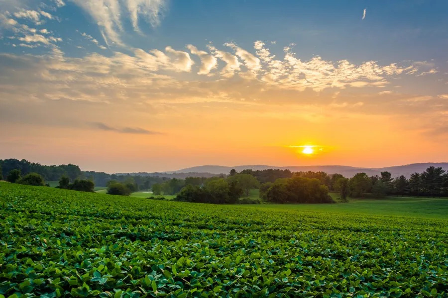 Pennsylvania invests in protecting Midstate farms