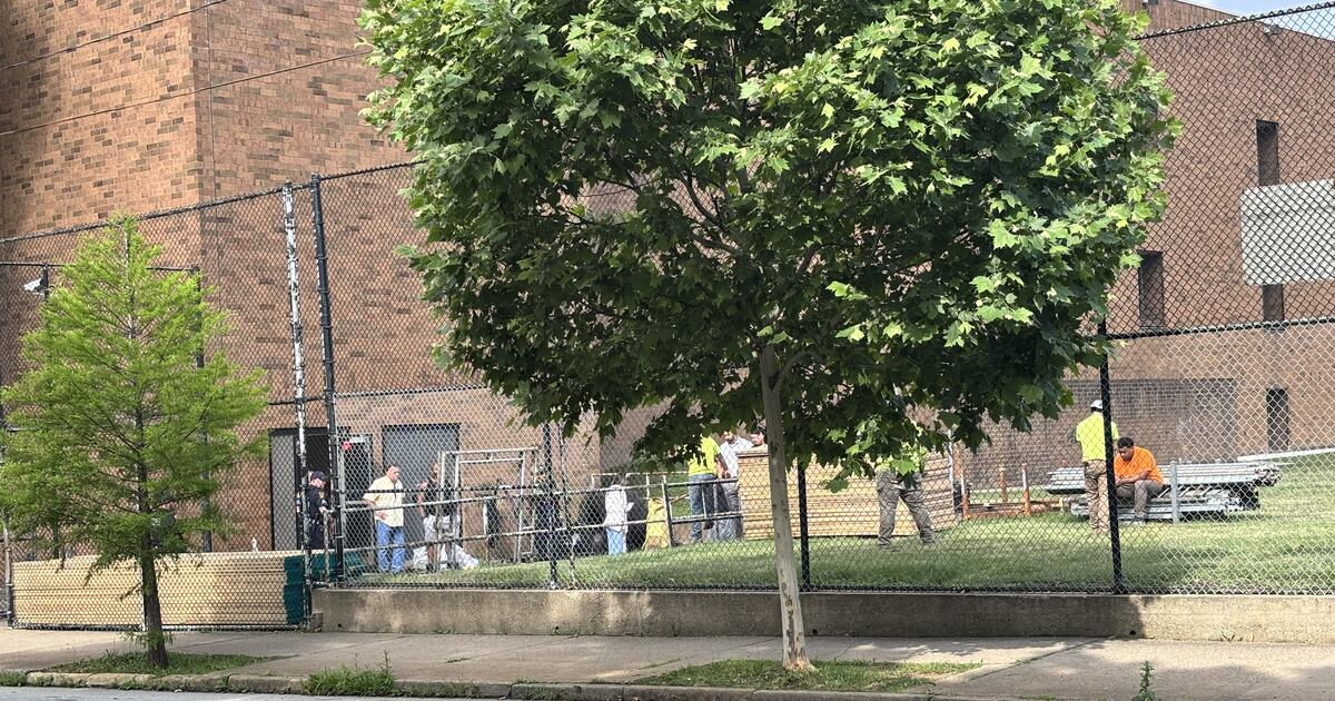 Worker injured in fall while putting up scaffolding at a Pittsburgh school – WPXI