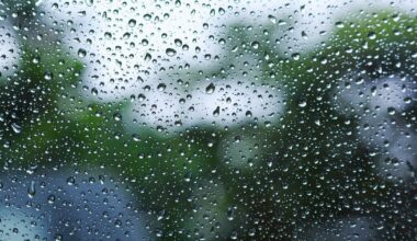 PITTSBURGH WEATHER: Scattered showers, storms move through the area this evening