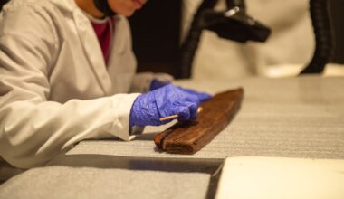 Carnegie Museum of Natural History to open ‘Egypt on the Nile’ exhibition in 2027 – WPXI