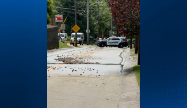 Water main break disrupts service in Castle Shannon