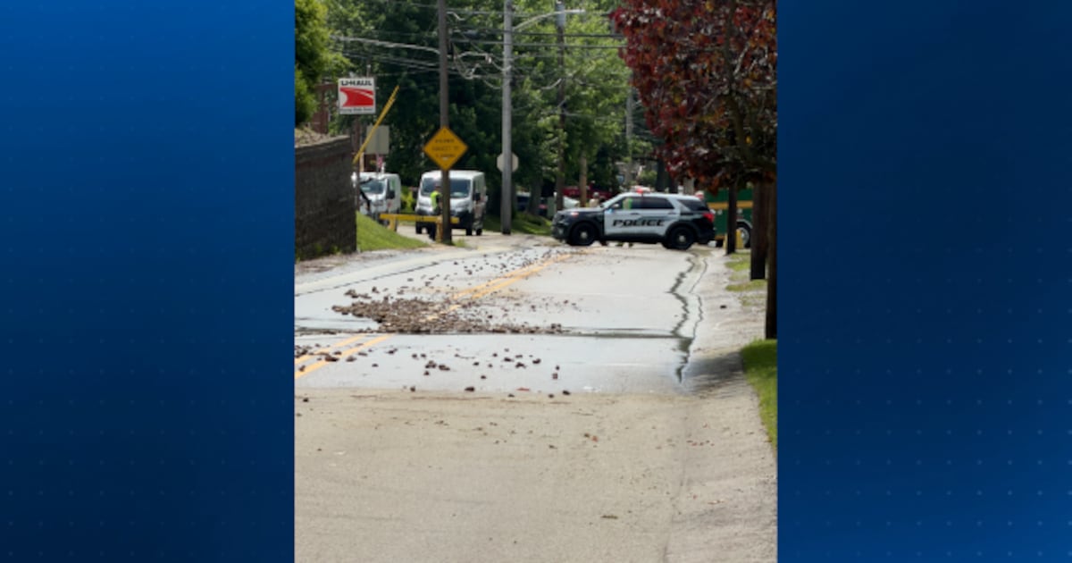 Water main break disrupts service in Castle Shannon