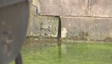 11 Investigates the source of decades of flooding at homes in Pittsburgh’s Hill District – WPXI
