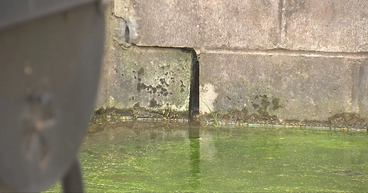 11 Investigates the source of decades of flooding at homes in Pittsburgh’s Hill District – WPXI