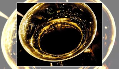 Scranton Brass Orchestra Performing Sunday, June 14